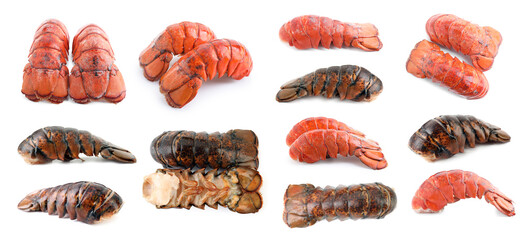 Set of lobster tails isolated on white, top view