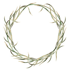 A wreath of sedge leaves. Isolated watercolor illustration for eco-friendly projects, packaging design, interior design, and poster printing.