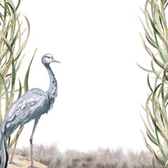 A square frame with a gray crane against a grassy background. Isolated watercolor illustration for environmental projects, ecopark tickets, packaging, and interior design.