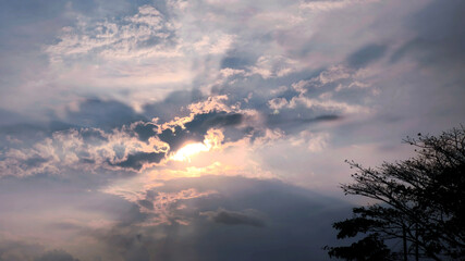 beautiful sunset view in a cloudy sky in the evening with trees below, panorama