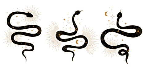 Sacred geometry inspired vector snakes representing Kundalini energy life force and spiritual power. Mystical abstract symbols of awakening enlightenment and inner peace balance.