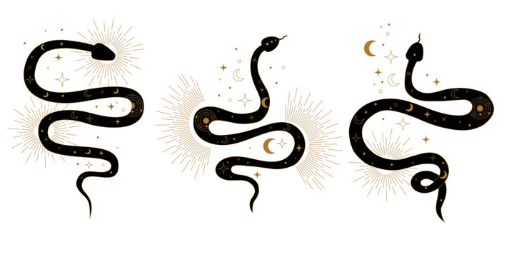 Sacred geometry inspired vector snakes representing Kundalini energy life force and spiritual power. Mystical abstract symbols of awakening enlightenment and inner peace balance.