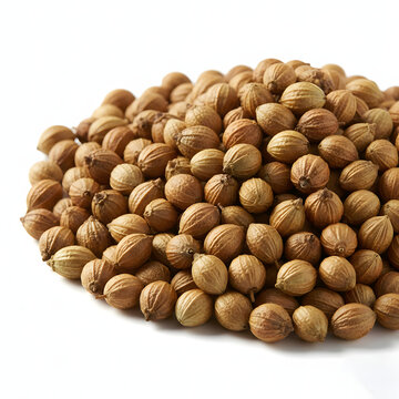 Pile of Dried Coriander Seeds Macro Detail Isolated on White