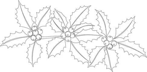 Festive holly berry sprigs line art for holiday designs