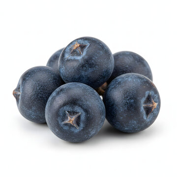 Juniper Berries Dark Blue Macro Close-up Isolated on White 