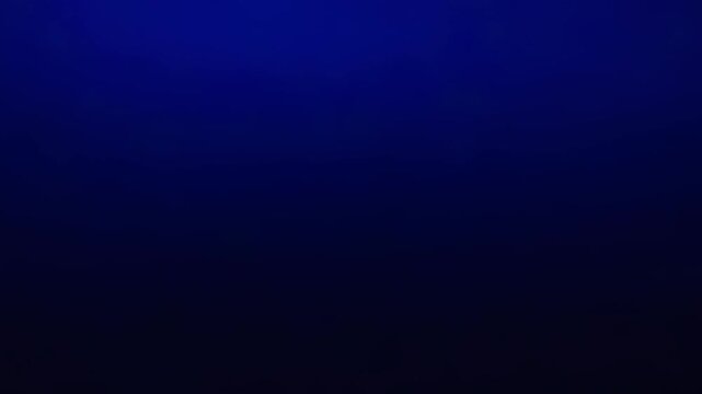 Adobe Stock Logo Animation
