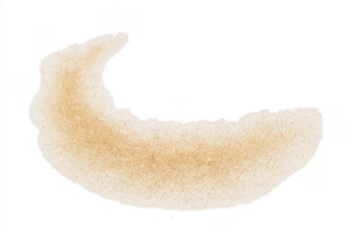 Scattering fine sand grains forming crescent shape