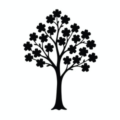 Cherry Blossom Branch Silhouette Isolated on White Background