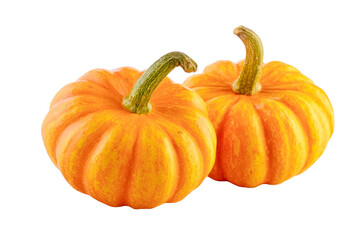 two miniature pumpkins isolated on transparent background