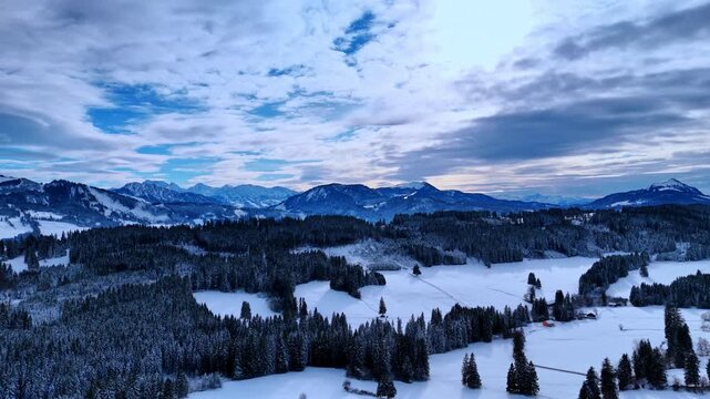 Meadows in the pine-tree woods covered with beautiful snow. Striking mountains range at backdrop. Clouds spread by the sky. Winter in the countryside. Aerial view.