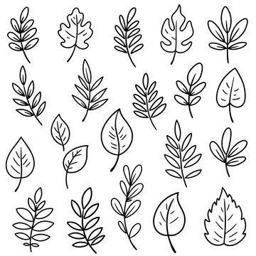Collection of twenty simple hand-drawn botanical leaf doodles. Minimalist black outline sketch style vector elements for nature design