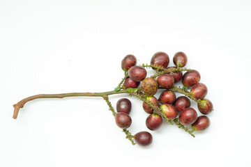 A cluster of fresh Matoa fruits (Pometia pinnata) attached to a woody branch, featuring purple and brownish skin with one unripe green fruit, isolated on a white background.