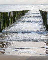 Fototapeta premium breakwaters wooden piles protect the coast