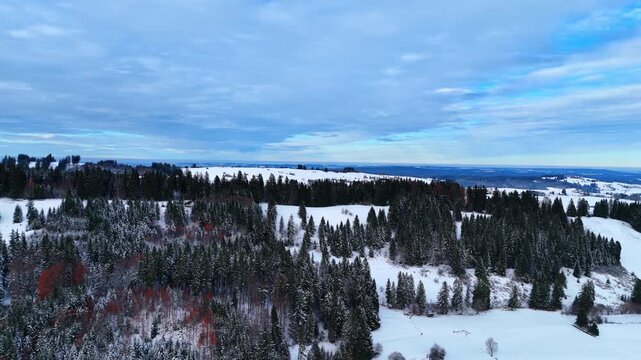 Flying over the snow-covered pine-tree forests and meadows. Overcast sky is over the scenery.