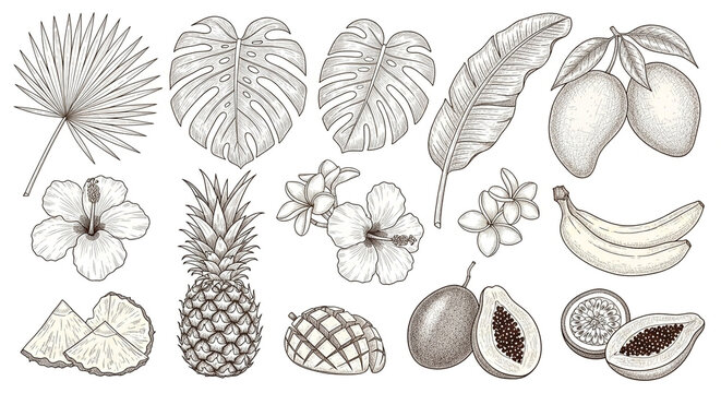 Hand drawn floral vector set of autumn leaves and flowers for seamless pattern illustration