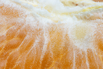 Close-up macro of orange flesh texture,Orange fruit juicy carpels or orange flesh close up. Macro shot of orange flesh structure.