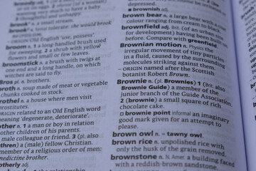 Obraz premium English Dictionary Page Close Up With The Word Meaning Of -brownie