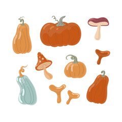 Autumn Pumpkins and Mushrooms Vector Seth