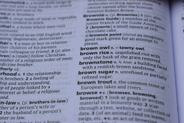 Obraz premium Definition Of English Dictionary Close Up Of Page With Word - brown owl