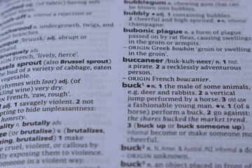 Fototapeta premium Definition Of English Dictionary Close Up Of Page With Word - buck