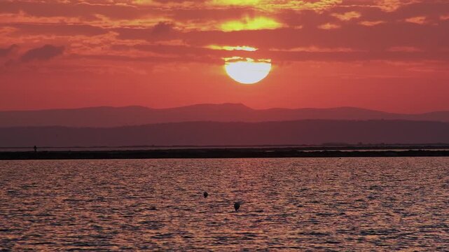 Multiple flamingo silhouettes against orange sunset with mountains behind, captured in slow motion at Izmir Sasalı Bird Paradise