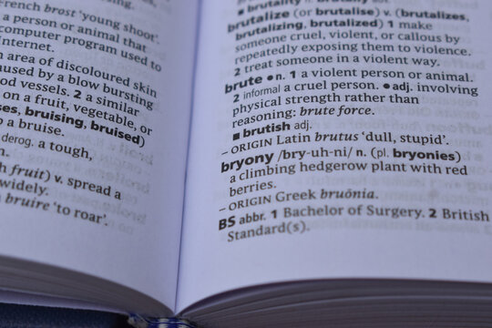 Definition Of English Dictionary Close Up Of Page With Word -  bryony
