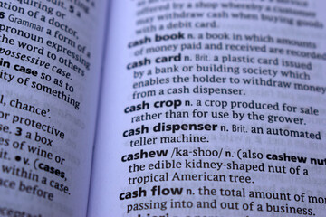 English Dictionary Page Close Up With The Word Of -cashew
