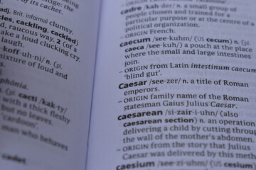 Obraz premium Definition Of English Dictionary Close Up Of Page With Word - Caesar
