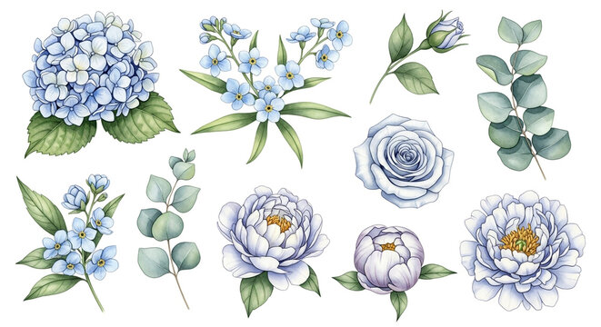 Watercolor illustration of blue flowers and eucalyptus branches.