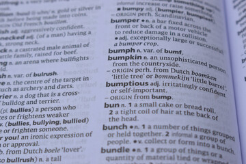 English Dictionary Page Close Up With The Word Meaning Of -bumpkin