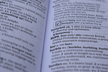 Obraz premium English Dictionary Page Close Up With The Word Meaning Of -BUPA