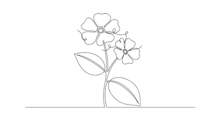 Continuous line art of two flowers with leaves, simple botanical illustration, EPS vector