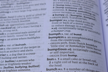 English Dictionary Page Close Up With The Word Of -bumpkin