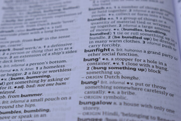 Close Up Of English Definition Dictionary Page Word Of -  bung