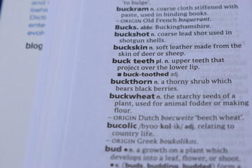 Definition Of English Dictionary Close Up Of Page With Word - buck teeth