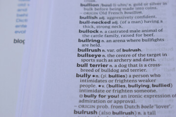 English Dictionary Page Close Up With The Word Meaning Of -bullrush
