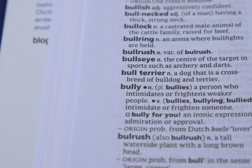 English Dictionary Page Close Up With The Word Of -bulleye