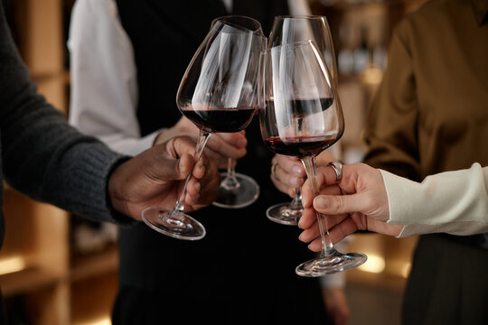 Diverse group of young adult and middle aged men and women clinking wine glasses during wine tasting, hands visible holding glasses with red wine, multiethnic participants engaging in social activity
