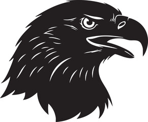 Obraz premium Eagle Head Illustration Featuring Sharp Talons and Majestic Feathers in Black and White