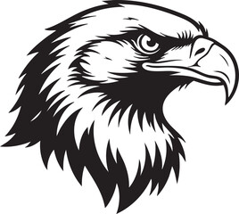 Fototapeta premium A majestic eagle's head illustration showcasing its sharp beak and piercing gaze