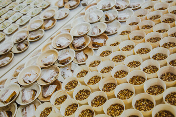 Nasiona w kubeczkach