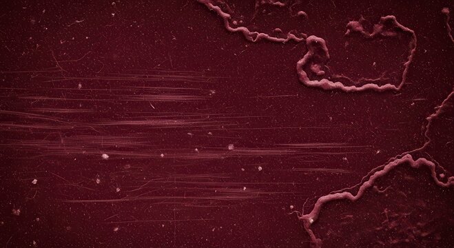 Microscopic view of organic red cells on a textured biological surface background