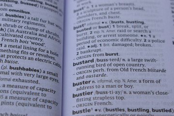 Definition Of English Dictionary Close Up Of Page With Word - busterd