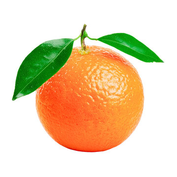 orange fruit with leaves isolated on transparent background.