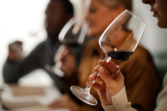 Diverse group of middle aged adults sampling red wine, holding glasses close to faces and examining color and aroma, participating in wine tasting session at table