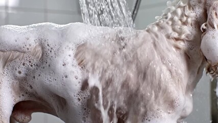 Close up of dog covered in white shampoo foam being rinsed with water. Represents pet grooming, hygiene and care. Perfect for veterinary clinics and grooming salon advertisements.