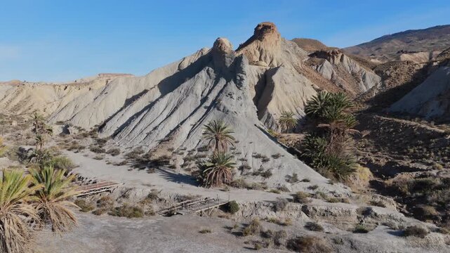 Aerial View of a Small Palm Tree Oasis in the Tabernas Desert, Symbolizing Water's Importance Amidst Growing Desertification