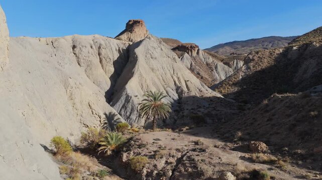 Aerial View of a Small Palm Tree Oasis in the Tabernas Desert, Symbolizing Water's Importance Amidst Growing Desertification