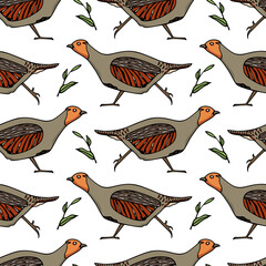 Vector seamless pattern with hand drawn cute hasting Grey Partridges. Beautiful illustration, ink drawing. Perfect for prints and patterns