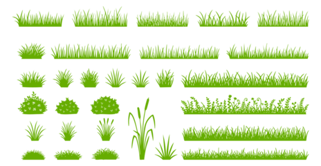 Solo green grass silhouette set. Collection of various green grass silhouettes, bushes, and plant elements in vector format. Suitable for nature designs, landscaping illustrations, backgrounds
